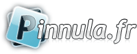 logo Pinnula.fr